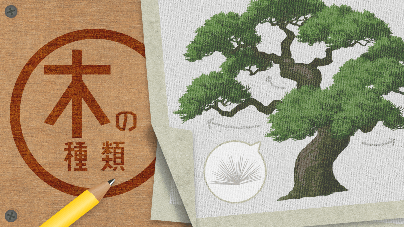 第2回 木の種類