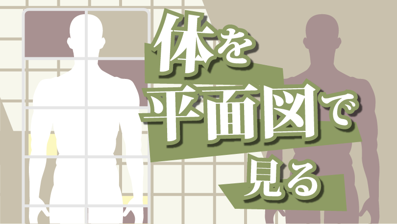第6回 体を平面図で見る