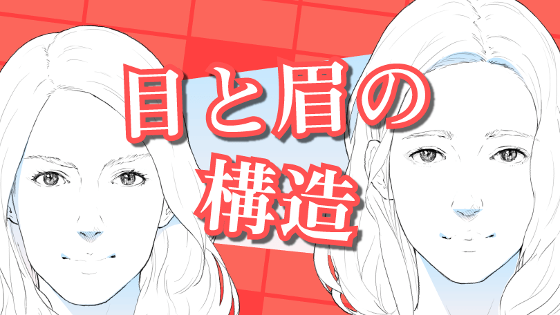 第2回 目と眉の構造