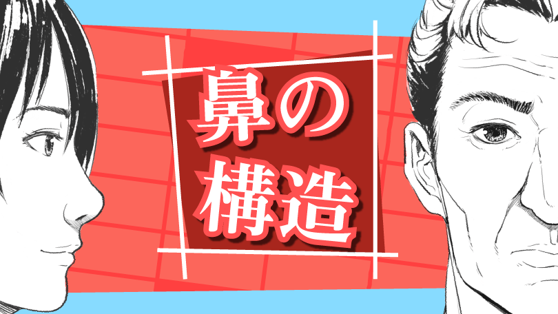 第3回 鼻の構造