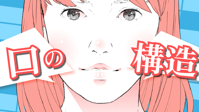 第4回 口の構造