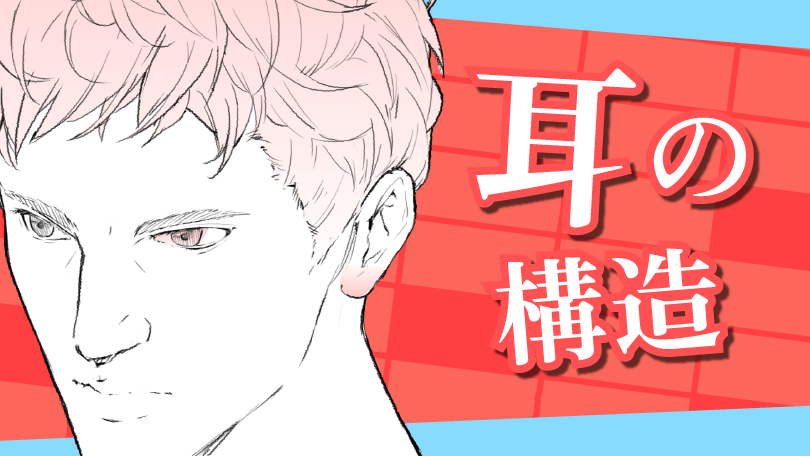 第5回 耳の構造