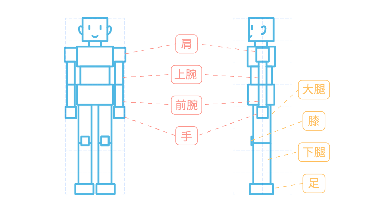 箱で人体を描こう