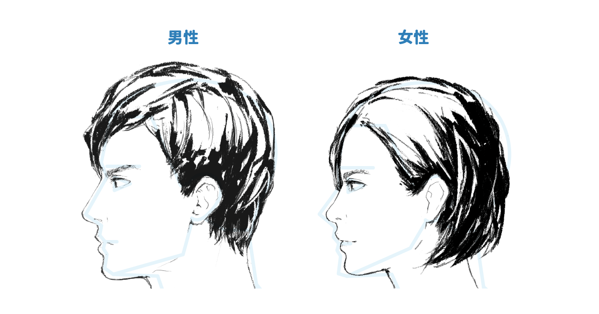 アタリに沿って横顔を描こう